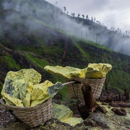 Ijen Basecamp & Homestay Ketapang  Экстерьер фото